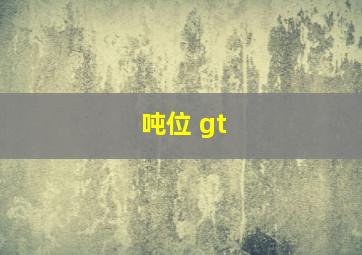 吨位 gt